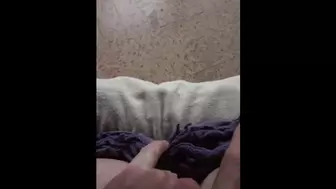 Masturbate and Anal Fingering on my Basement Couch while Watching Family Stud